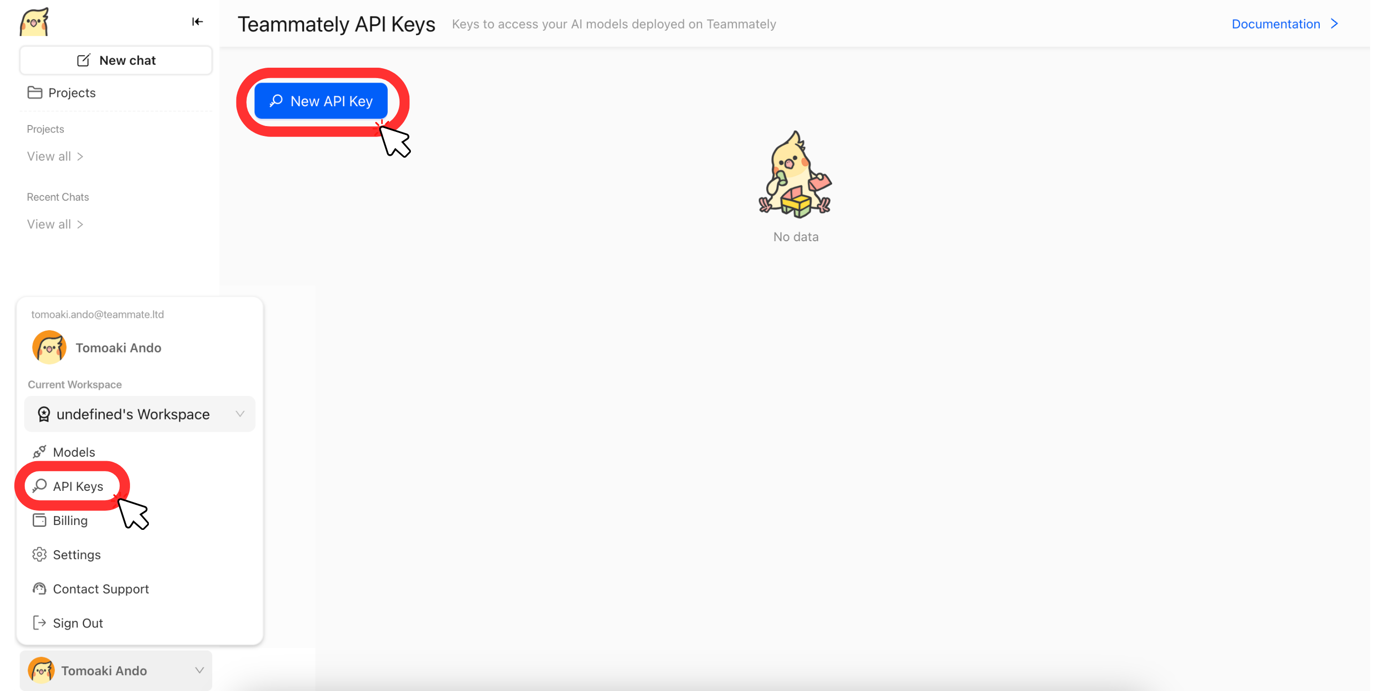Accessing API Keys Page